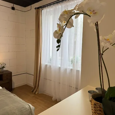 Apartment Miernicza Lublin